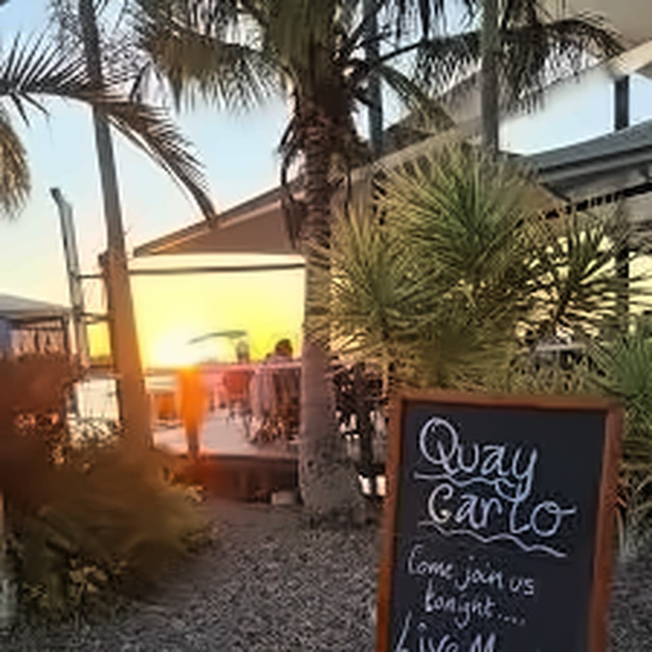 Dolphin Feeding Experience at Tin Can Bay from Rainbow Beach - image 3